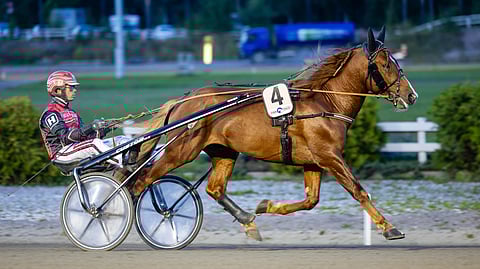 Tanno ja Santtu Raitala