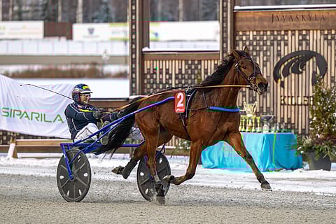 Arctic Greetta vakuutti kaksivuotiaiden tammojen Kasvattajakruunussa Janne Korven ohjastamana.