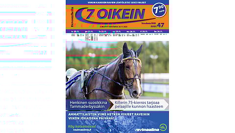 7 oikein -lehdessä julkaistaan Suomen totoravien käsiohjelmasivut vihjeineen ja tallikommentteineen torstaista seuraavaan keskiviikkoon sekä Ruotsin pääpelien käsiohjelmasivut torstaista maanantaihin.