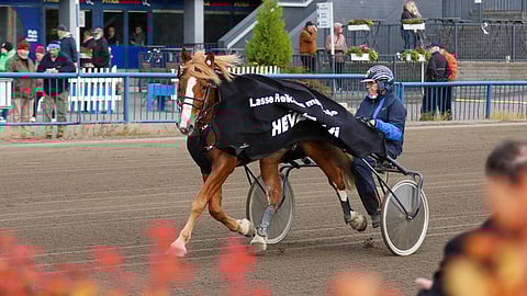 Sipisee, Olli-Pekka Hämäläinen