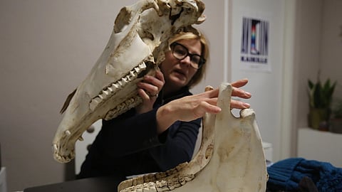 Heidi Kellokoski-Kiiskinen 