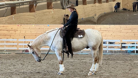 Satu Wirta hevosensa Kings Raisin Starin kanssa treenaamassa Ruotsissa.