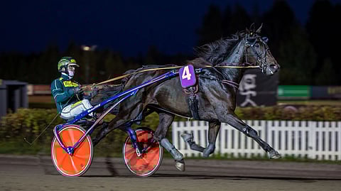 Warrior Princess oli karsintojen nopein voittaja ajalla 14,0a/2100 metriä. Kari Lehtosen tallista finaalipaikan ansaitsivat myös Kinematic sekä Quick Swamp.