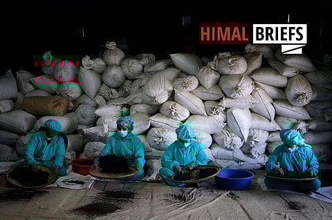 Kanchanjangha Tea Estate factory, Nepal. Photo: 
IMAGO / ZUMA Wire