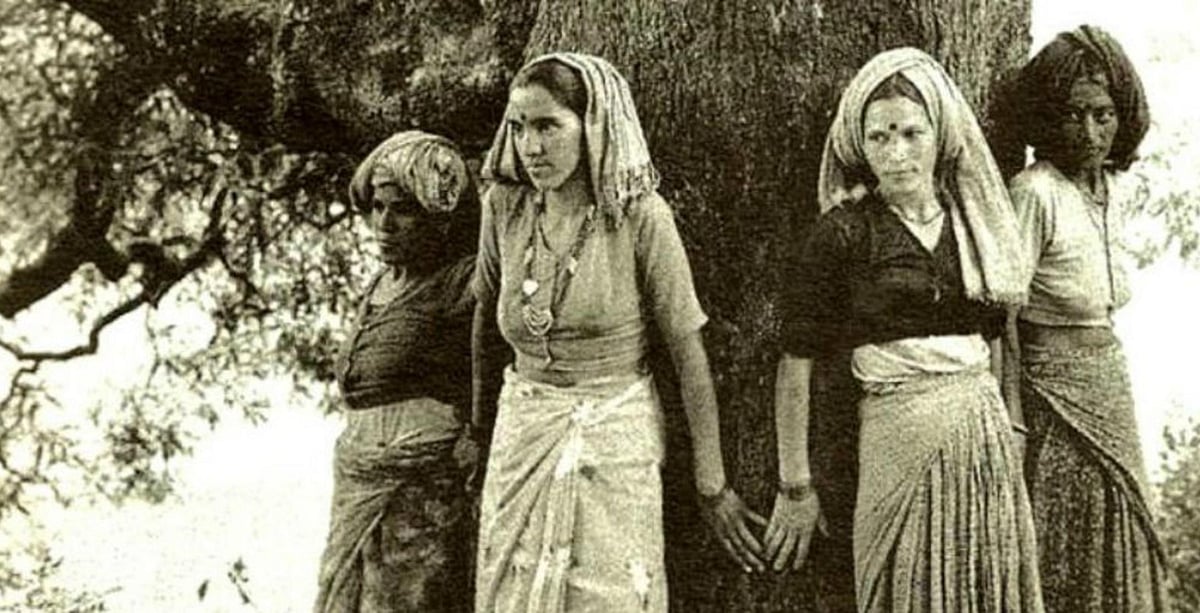 Axing Chipko