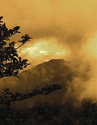 Kalidasa’s cloud