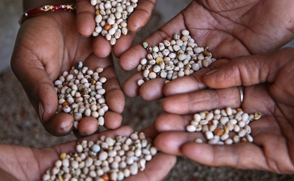 In search of food sovereignty