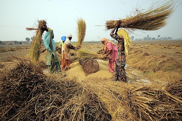 Ambitious agenda for food security