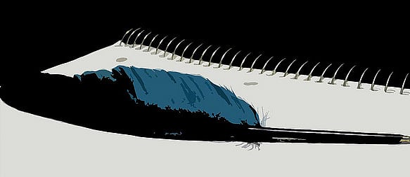 The task of writing