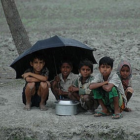 Shelter from the storm