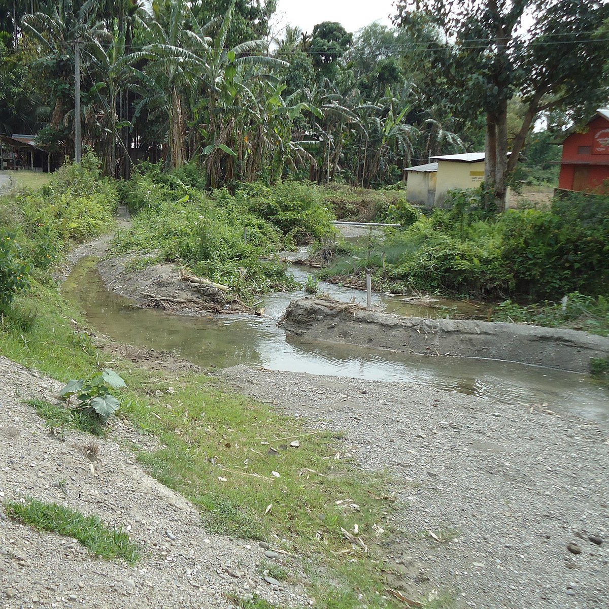 Water and the community