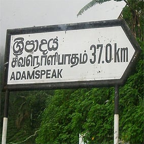 A tale of two languages