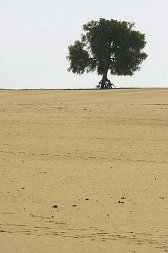 Partition on the sand