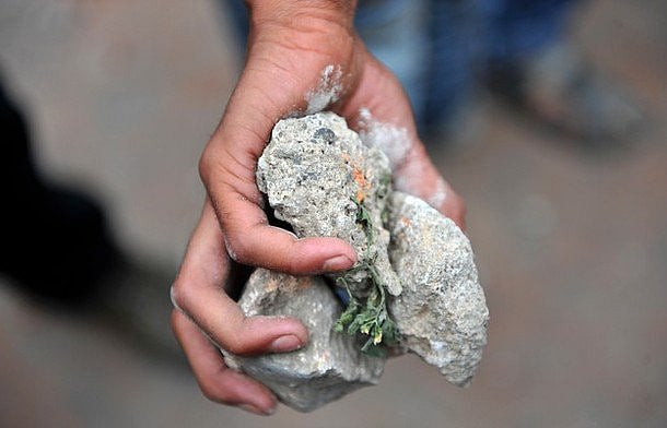 Kashmir in focus