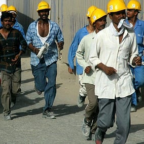 Great migrant hope