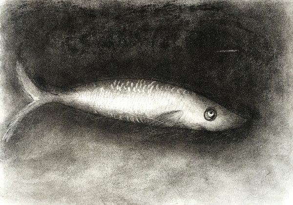 Goldfish