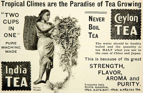 The tempest in your tea cup