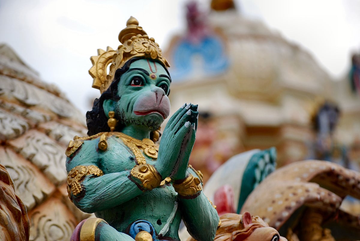 The Hanuman boy