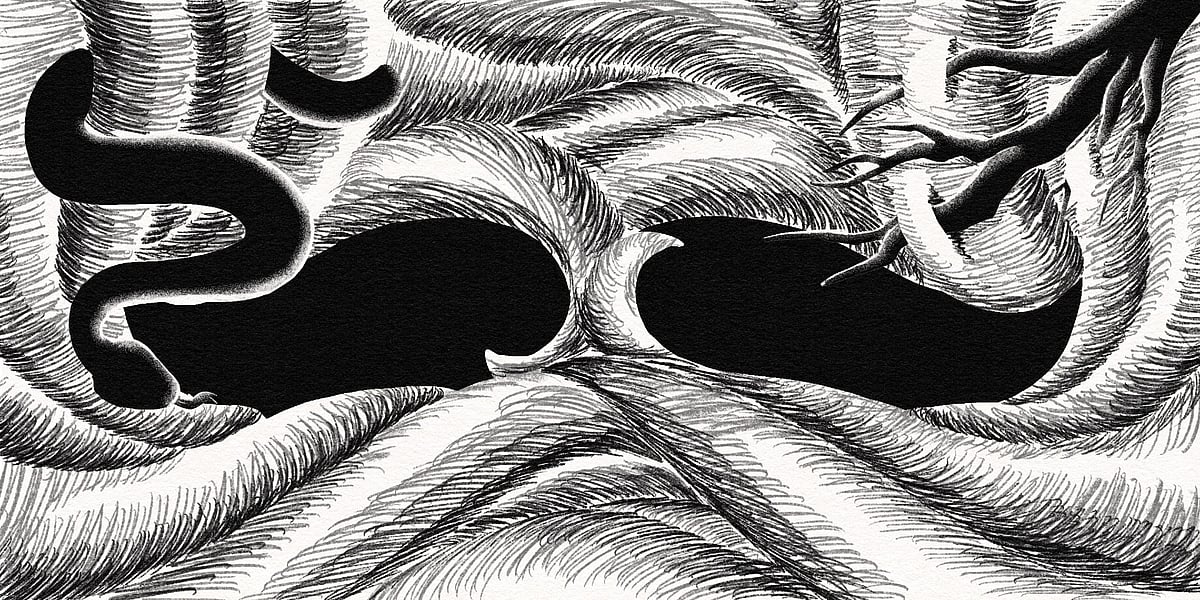 Shock and awe: The many lives of Malayalam magical realism