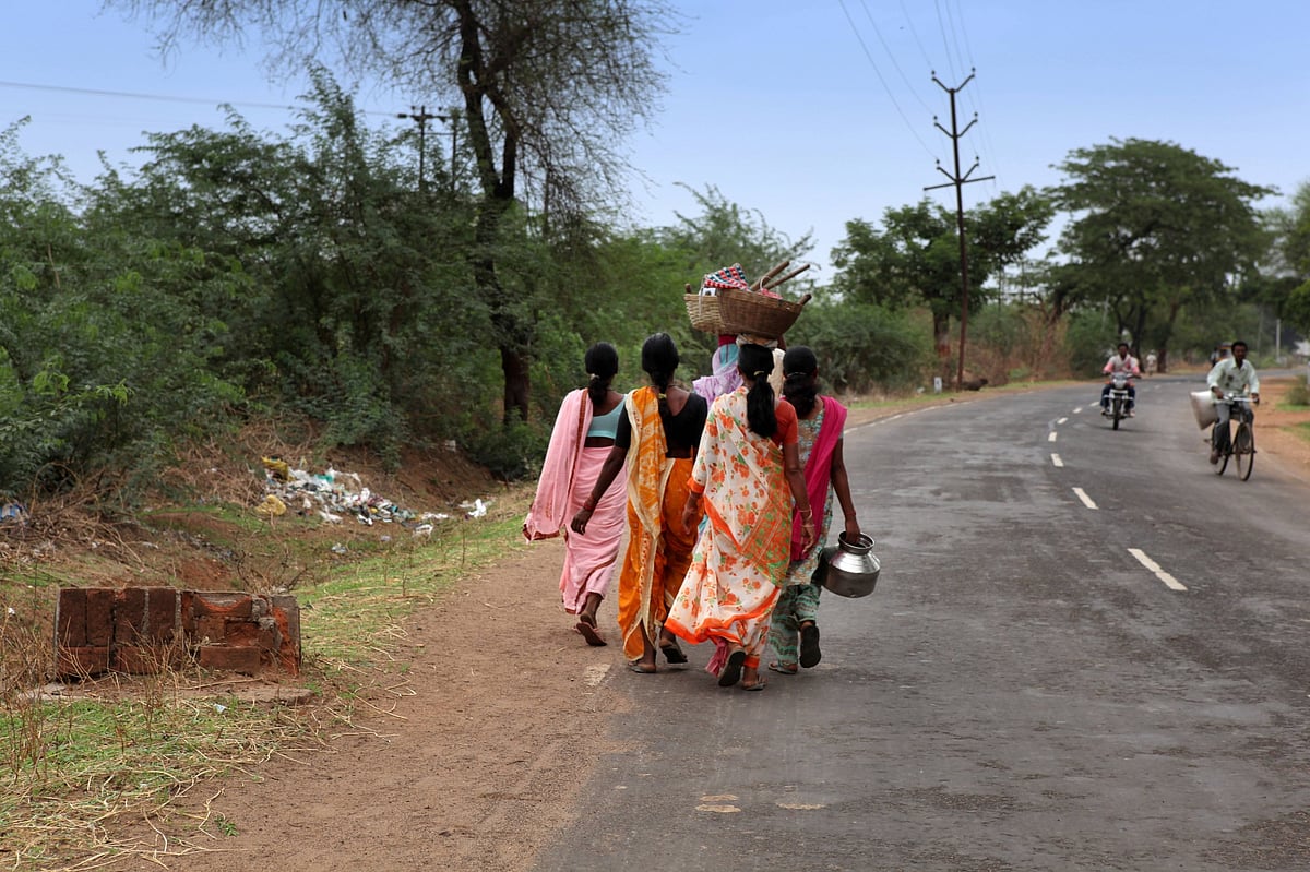 Finding food in Chandrapur