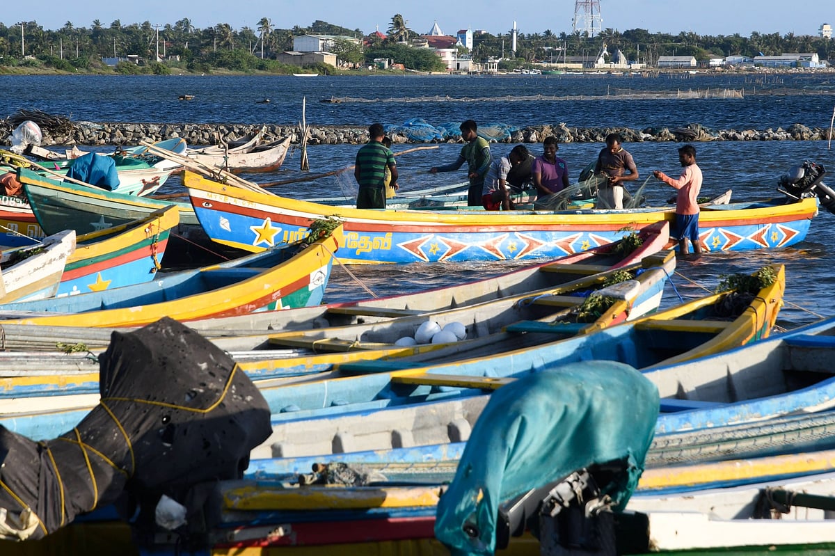 Patronage politics and the economic crisis in Sri Lanka’s North and East