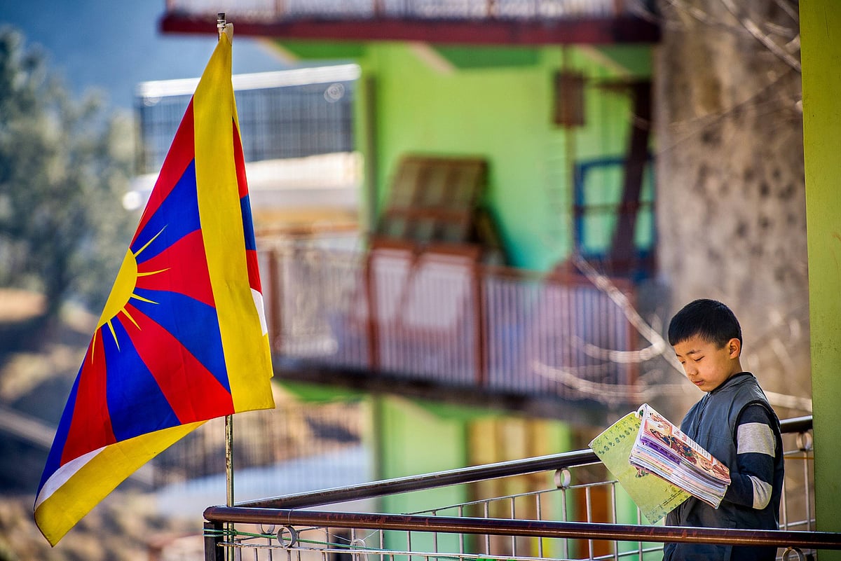 New Tibetan writing stares down the hard truths of exile