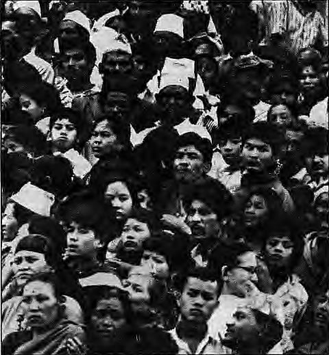 How to tend this garden?