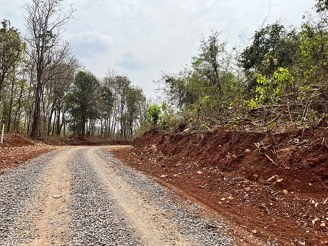 A road in Narayanpur district, Chhattisgarh. On the right there is red earth which shows trees have been cut down. On the left can be seen tall trees. 