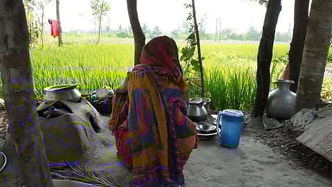 A photo of a woman shot from behind, overlooking agricultural fields. She is a Bangladeshi Hindu migrant woman in Jharkali, West Bengal