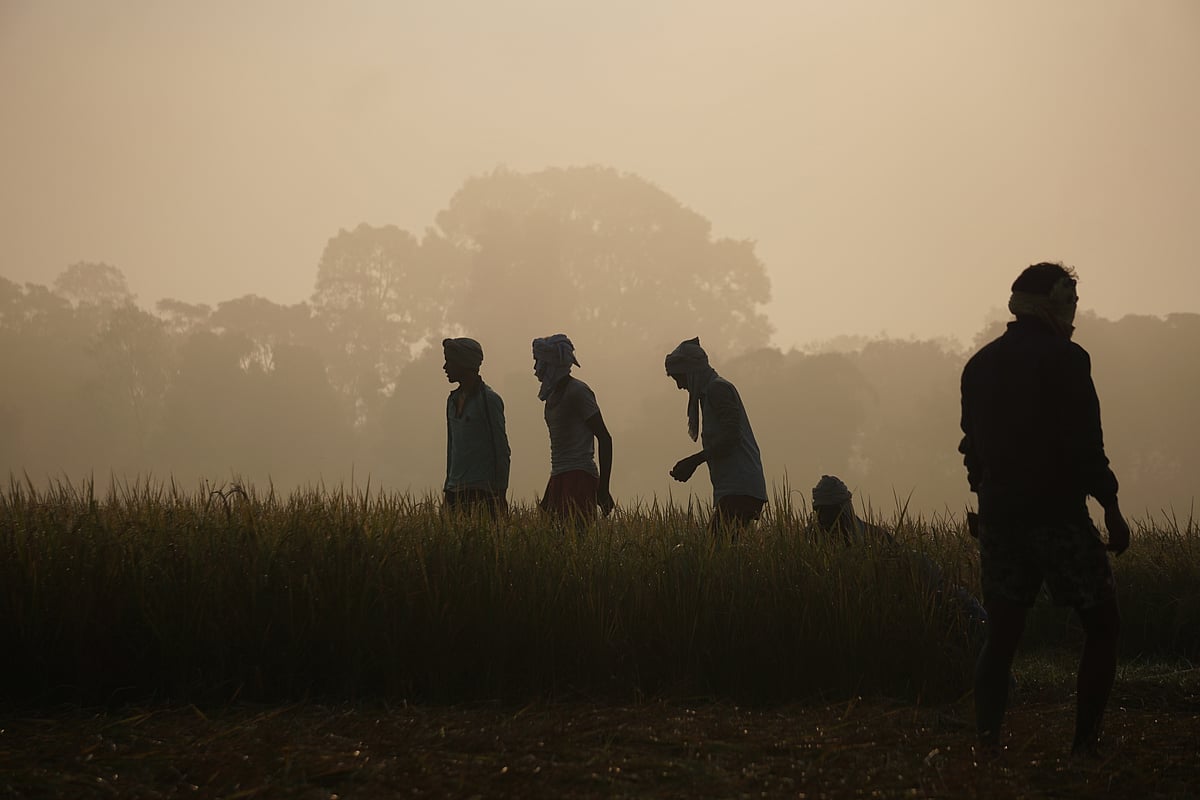 Grasping the Tarai identity