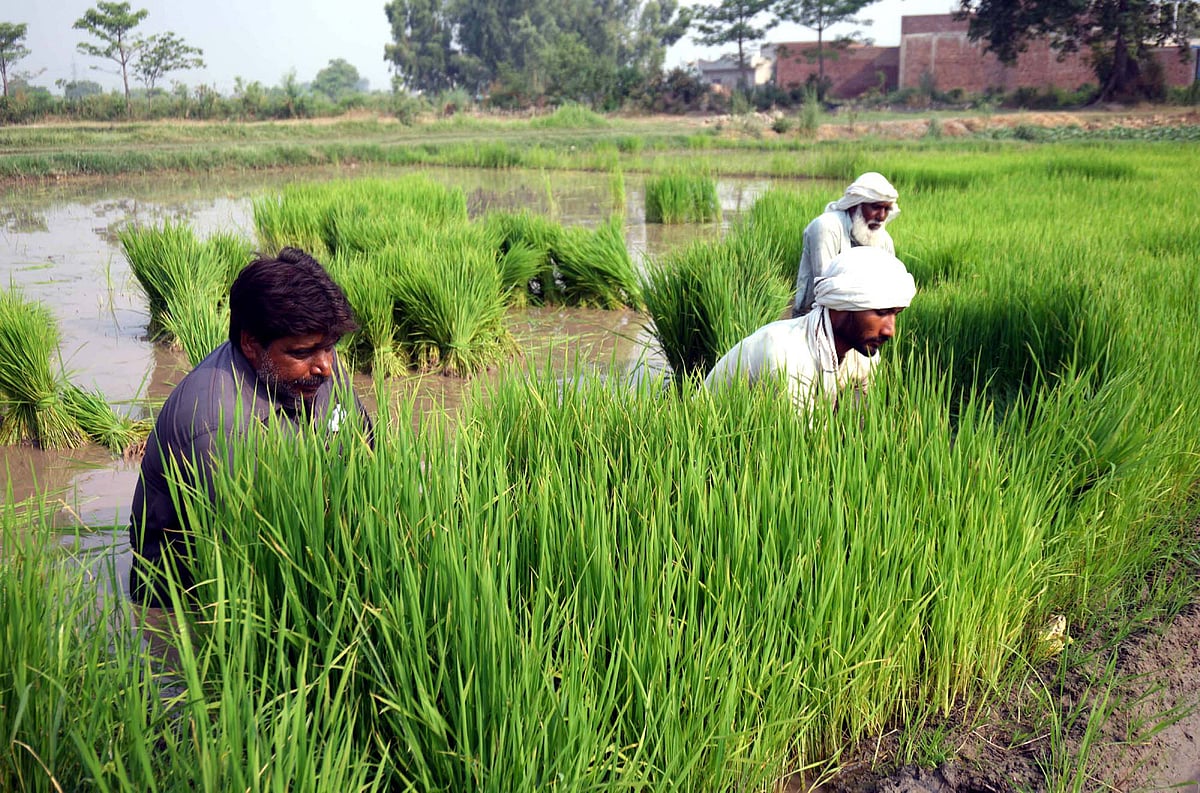 The provinces: Profile of agriculture and industry