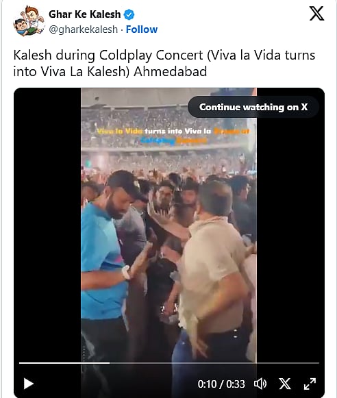 Photo showing a brawl between two men at a Coldplay concert during the song Viva La Vida