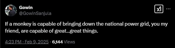 Screenshot of a tweet from user handle GowinSanjula. He says, "If a monkey is capable of bringing down the national power grid, you my friend, are capable of great... great things."