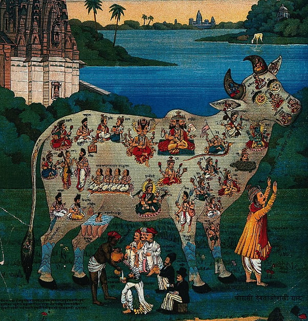 "The Cow with 84 deities" by Raja Ravi Varma. The illustration accompanies a 2002 article by Siriyavan Anand on how as the cow has become deified Dalits and oppressed castes are seen as subhuman. 