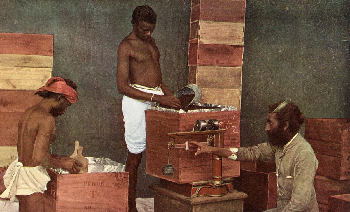 Photo of three workers packing tea on a Ceylon estate supervised by a kanganie