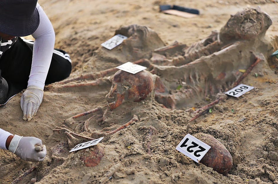 Photo shows excavations at a mass grave in Chemmani, northern Sri Lanka, in September 2025. Outlines of human skeletons can be seen, with placards placed on them labeling them. On top left, an expert is brushing away soil to reveal another skeleton. 