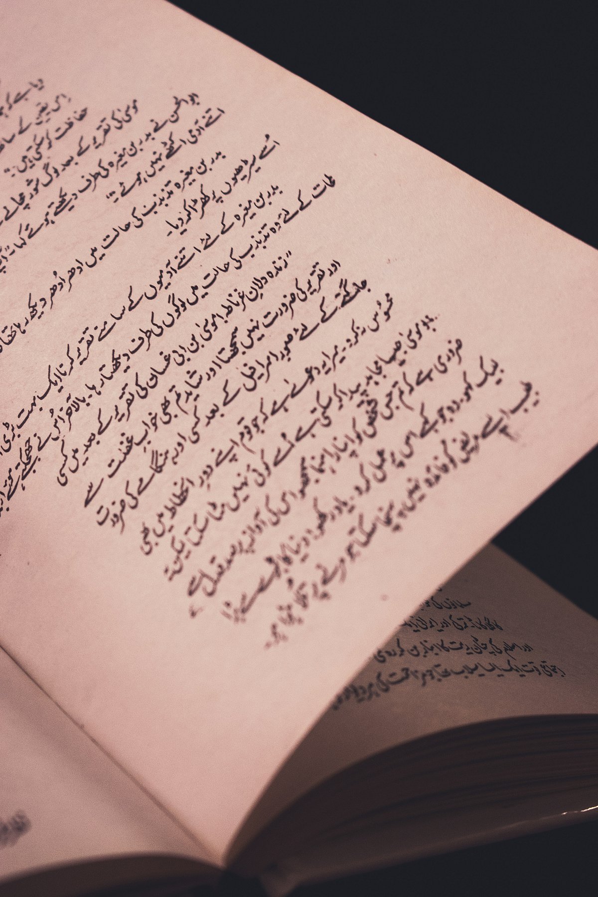 The Urdu internationale