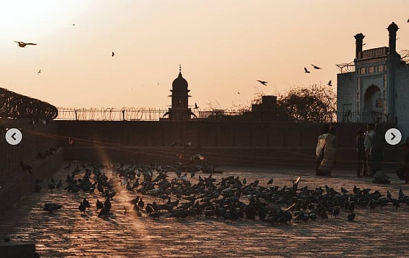 Photo showing a Mughal-era shrine and a brick courtyard at sunset. There is a flock of pigeons in the foreground and birds flying. People can be seen standing on the right.