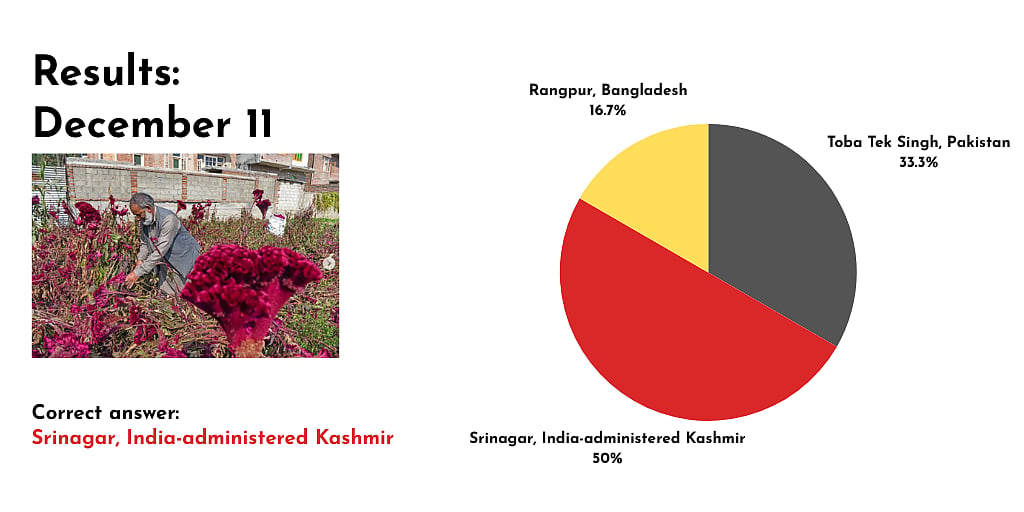 Photo of a man picking cockscomb flowers which are bright red in a field. A corrugated sheet gate can be seen and a brick wall in the distance. The pie chart shows that 50 percent of readers guessed the correct location of the photo as Srinagar in India-administered Kashmir