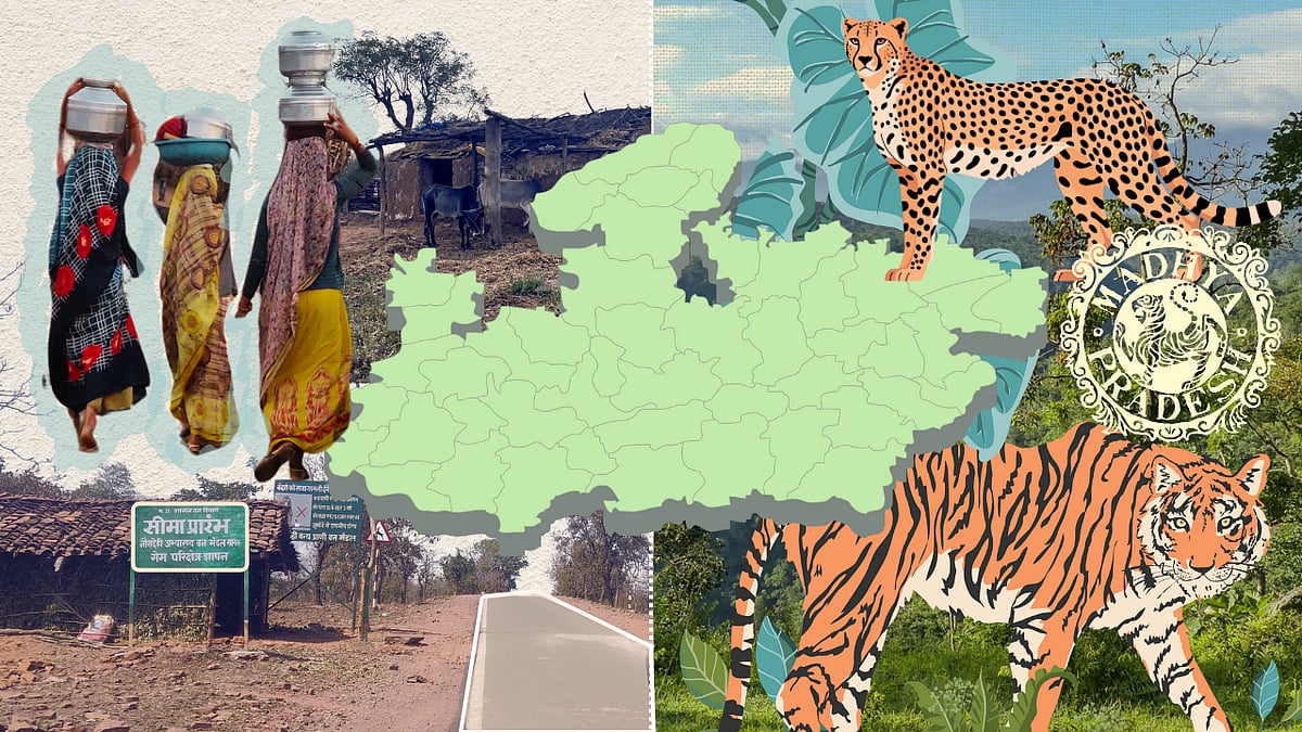 The huge human costs of Madhya Pradesh’s tiger and cheetah reserves