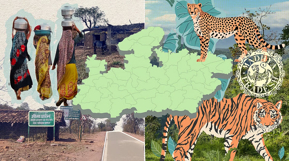 Composite image showing women carrying water pots, tigers and cheetahs and the Madhya Pradesh state government stamp superimposed on an outline of the state, for a story on tiger conservation in the area. 