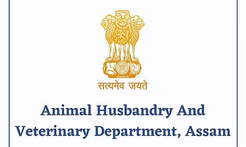 पशुपालन और पशु चिकित्सा विभाग भर्ती 2022 - पशु चिकित्सा अधिकारी / ब्लॉक पशु चिकित्सा अधिकारी और अधिक रिक्ति, नौकरी के अवसर