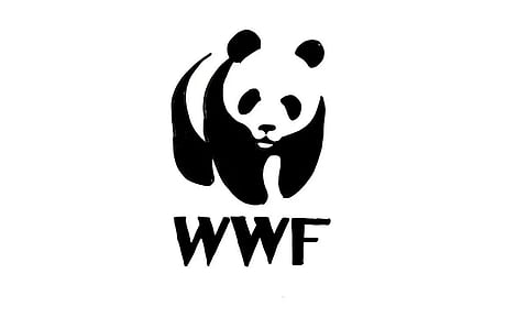 वर्ल्ड वाइड फंड इंडिया भर्ती 2022 - सहायक समन्वयक रिक्ति, नौकरी के अवसर