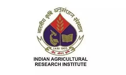 आईएआरआई भर्ती 2023 - यंग प्रोफेशनल II रिक्ति, नौकरी के अवसर