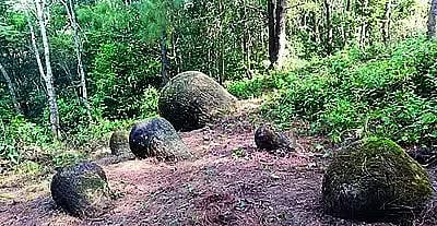 असम जार अध्ययन ऑस्ट्रेलियाई अनुसंधान परिषद द्वारा वित्तपोषित किया जाएगा