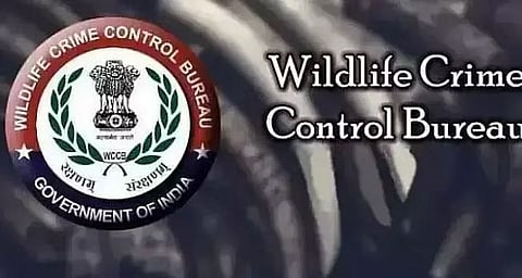 जानवरों के शरीर के अंगों का हब असम!