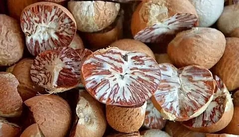 तस्कर अभी भी परिवहन के लिए ट्रेनों को पसंद करते हैं