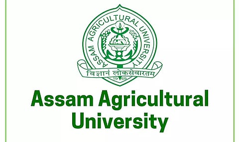 असम कृषि विश्वविद्यालय भर्ती 2022 - यंग प्रोफेशनल- II वेकेंसी, जॉब ओपनिंग