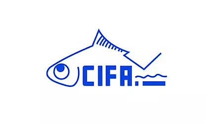 सीआईएफए भर्ती 2022 - युवा पेशेवर रिक्ति, नवीनतम नौकरियां