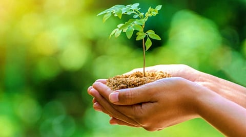 सीमा सुरक्षा बल फ्रंटियर मुख्यालय में वृक्षारोपण कार्यक्रम आयोजित